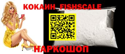 гидра Новодвинск