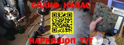 спиды Новозыбков