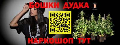 гидра Новодвинск