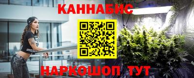 гидра Новодвинск