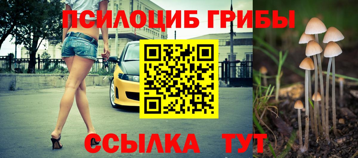 Холмск  Псилоцибиновые грибы Magic Shrooms  Вход с VPN  Псилоцибиновые грибы Cubensis 
